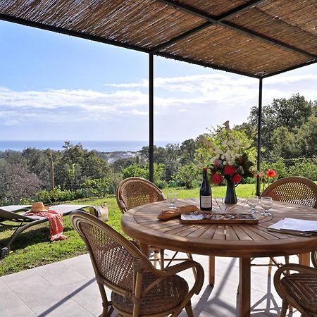 Domaine Punta Della Guardia Villa Panorama Maquis Et Mer, Plage A 1,5 Km 切尔维奥内 外观 照片