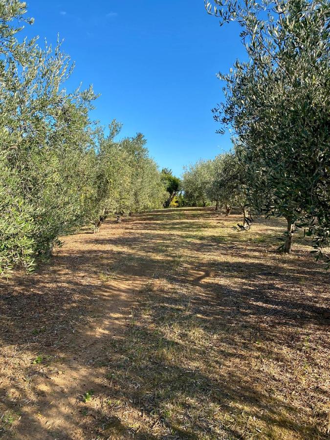 Domaine Punta Della Guardia Villa Panorama Maquis Et Mer, Plage A 1,5 Km 切尔维奥内 外观 照片