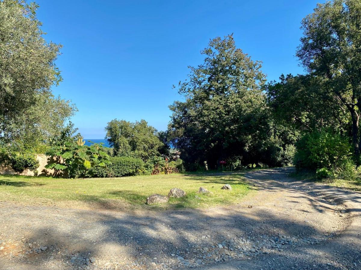 Domaine Punta Della Guardia Villa Panorama Maquis Et Mer, Plage A 1,5 Km 切尔维奥内 外观 照片